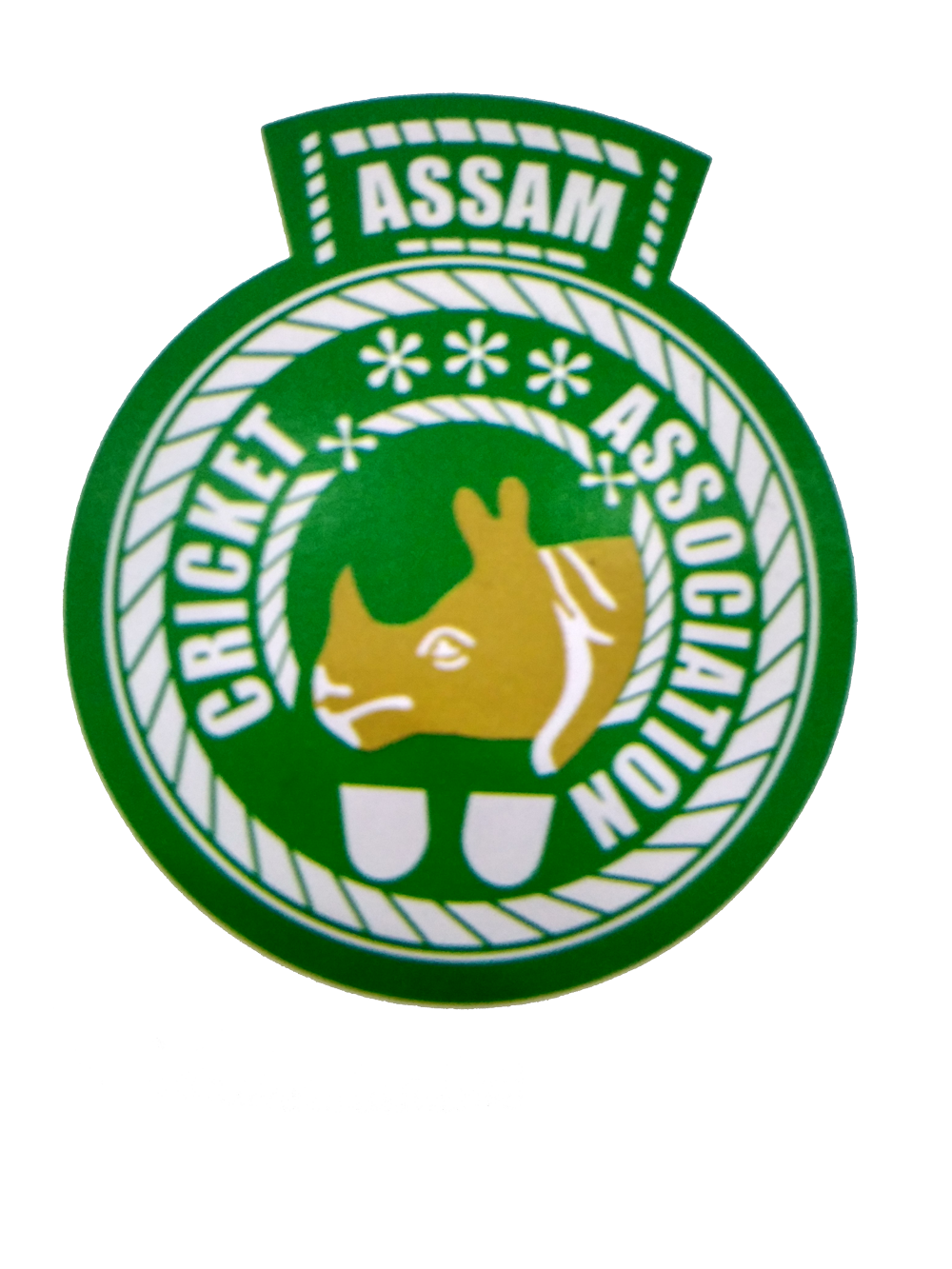 assamcricket-logo